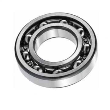 Nj2307m Types of Cylindrical Roller Bearing From China Bearing Factory